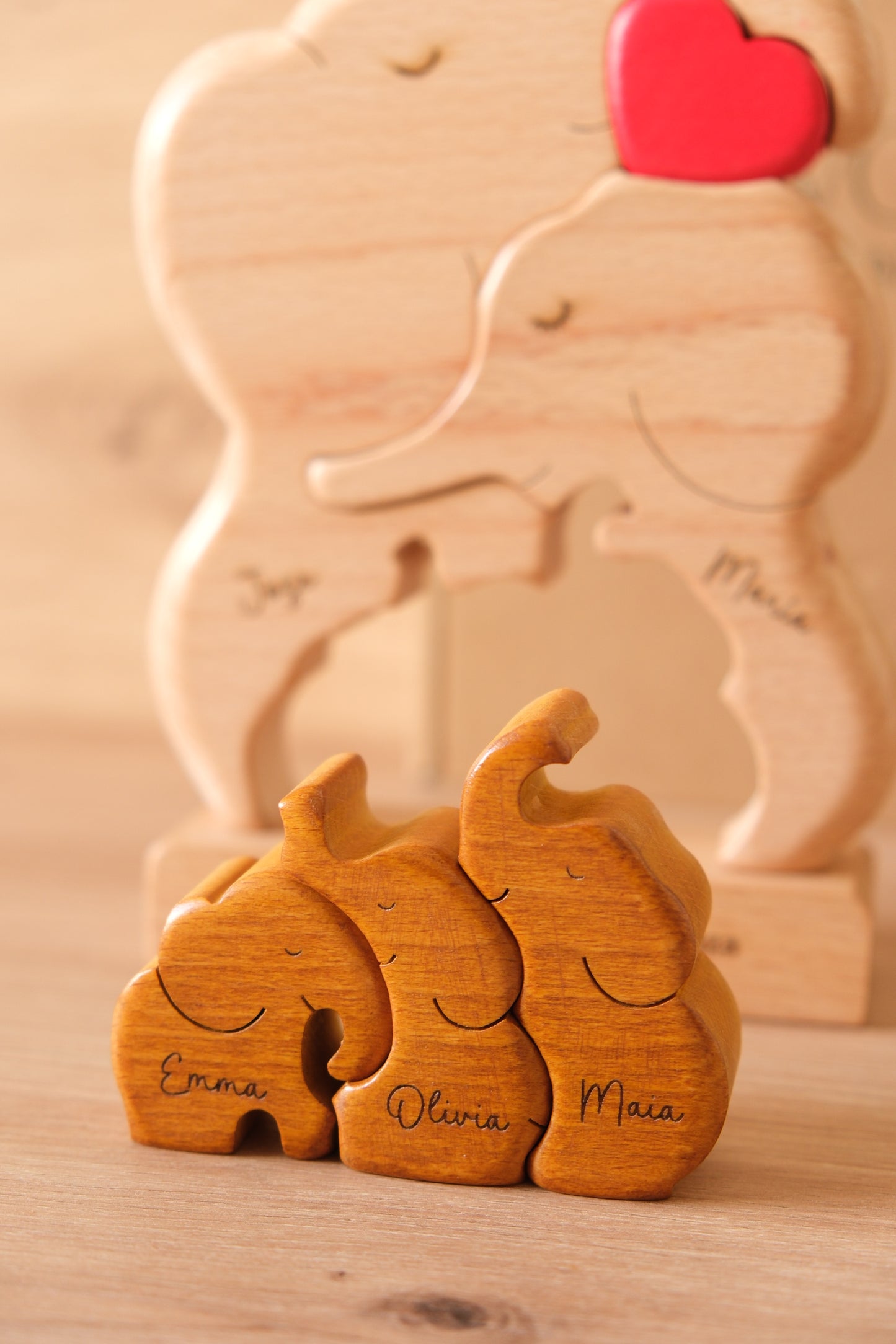 family of 4 elephants