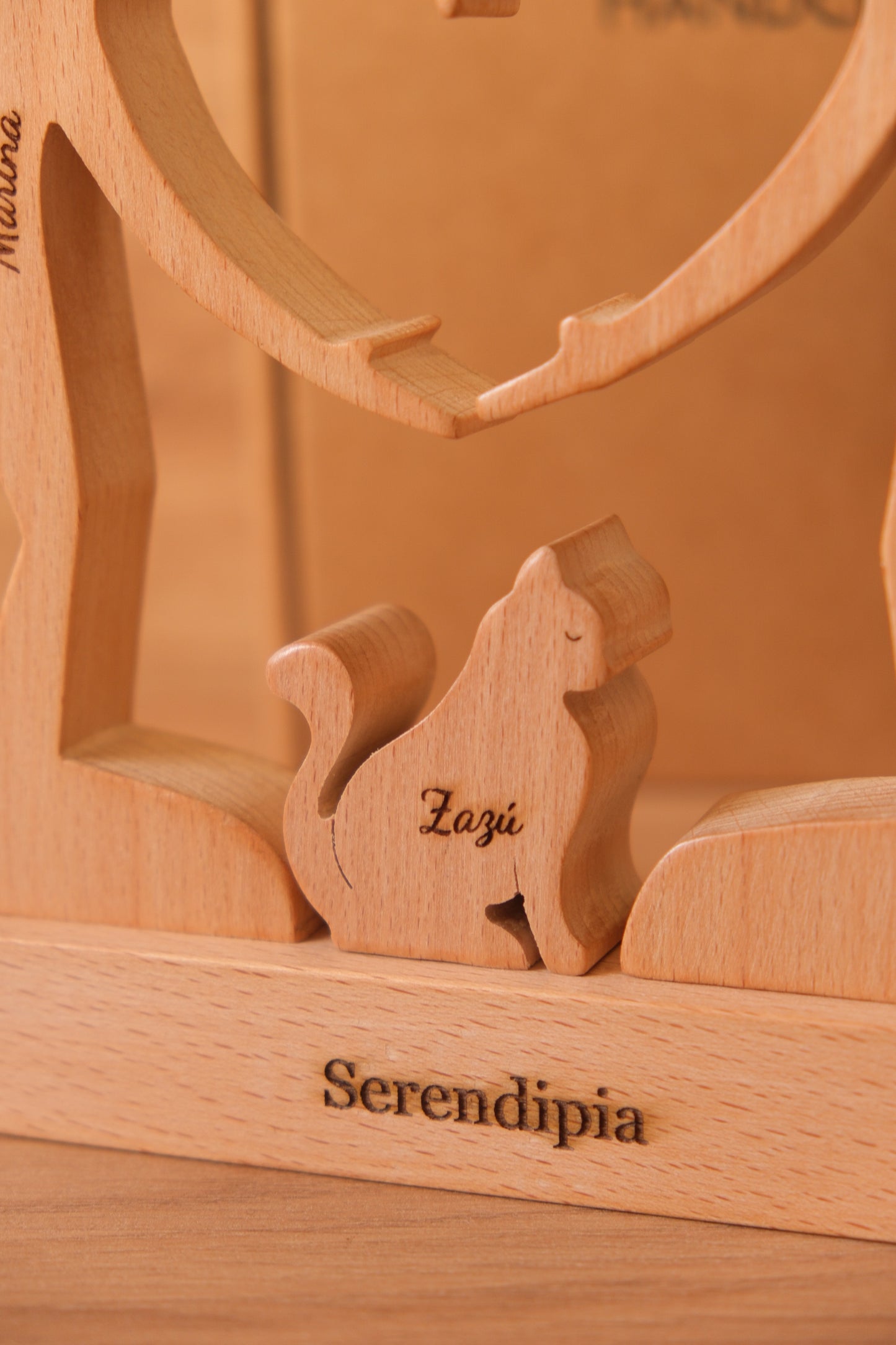 Aggiungi animale domestico: gatto