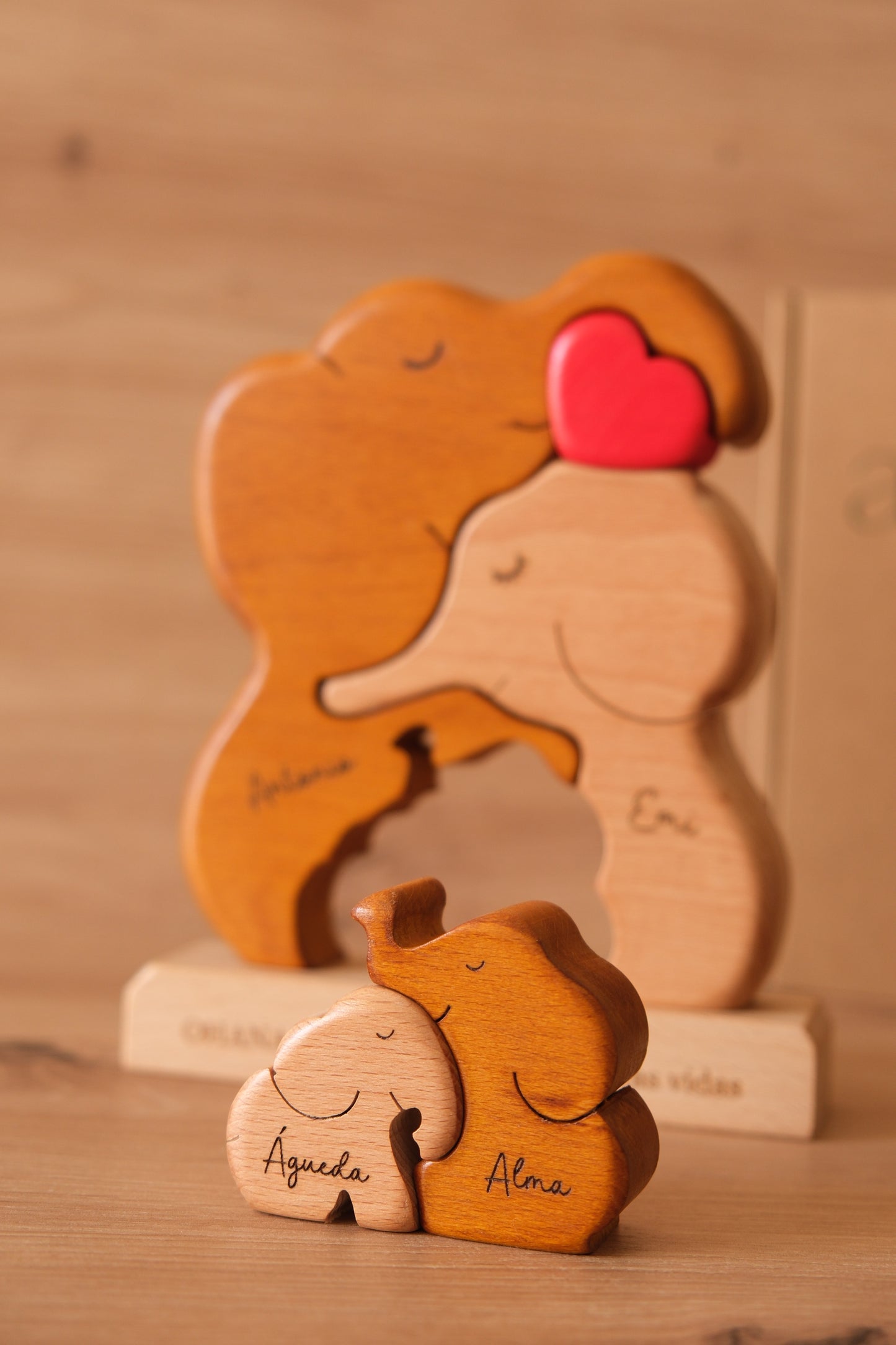 family of 4 elephants
