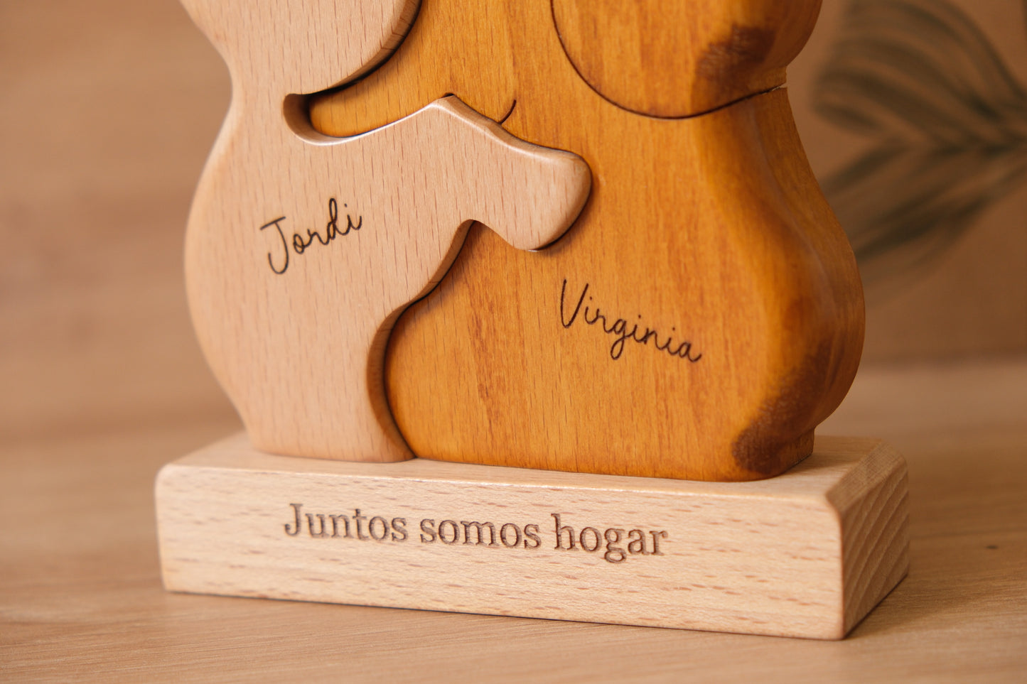 Pareja de elefantes