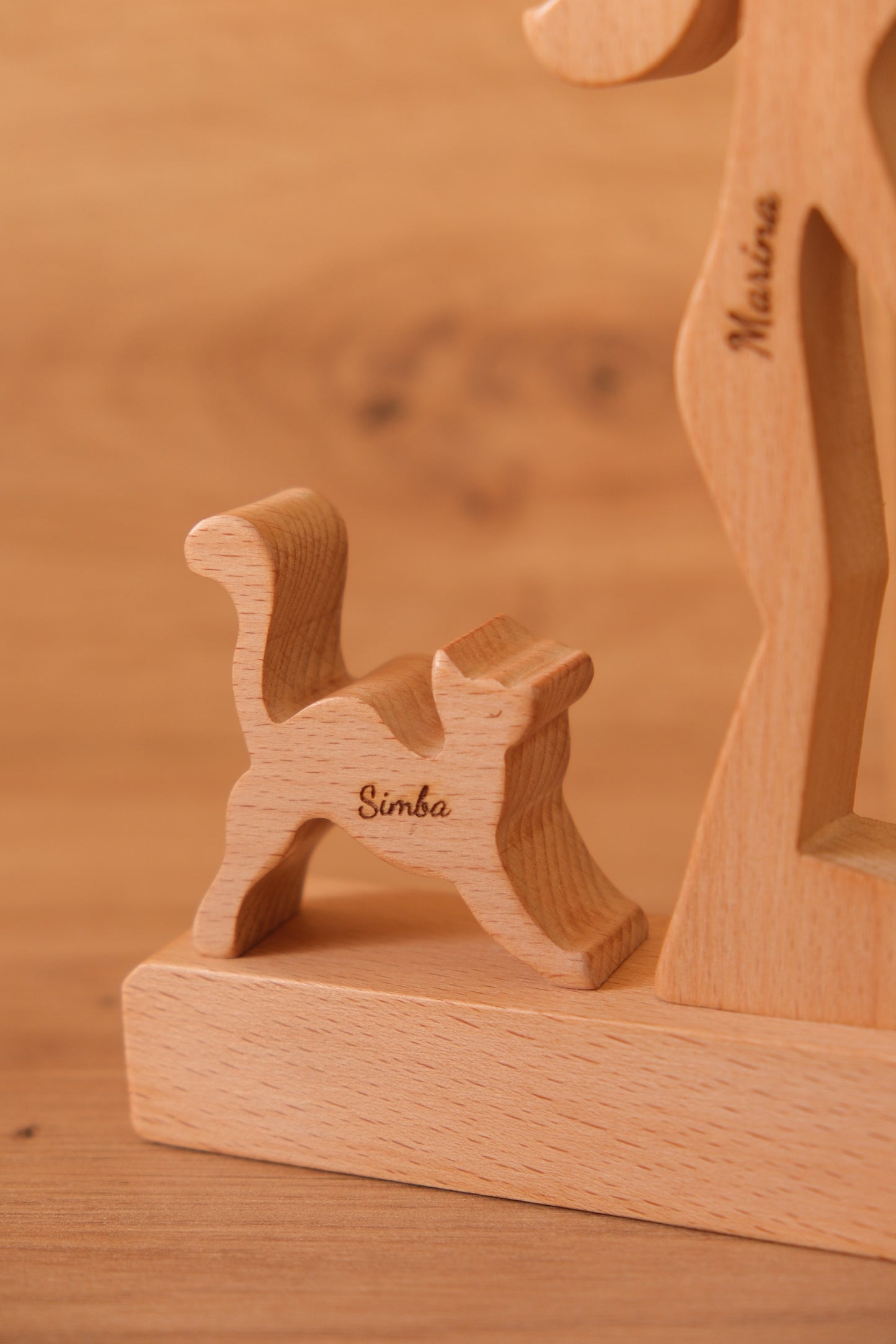 Aggiungi animale domestico: gatto 2